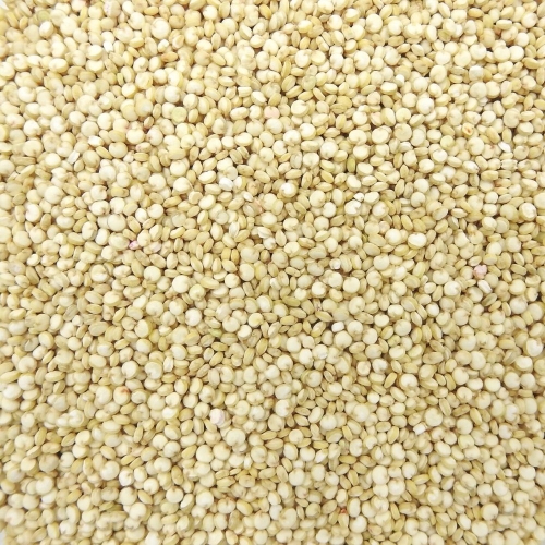 Quinoa blanc sac 5Kg