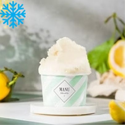 Sorbet citron bac 2,5L MANU GELATO
