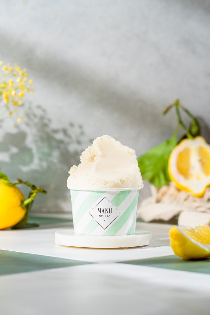 Sorbet citron bac 2,5L MANU GELATO
