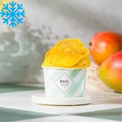 Sorbet mangue bac 2,5L MANU GELATO