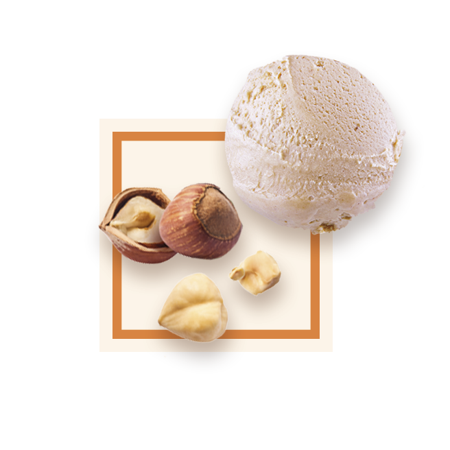 Glace noisette bac 2,5L GLACE DES ALPES