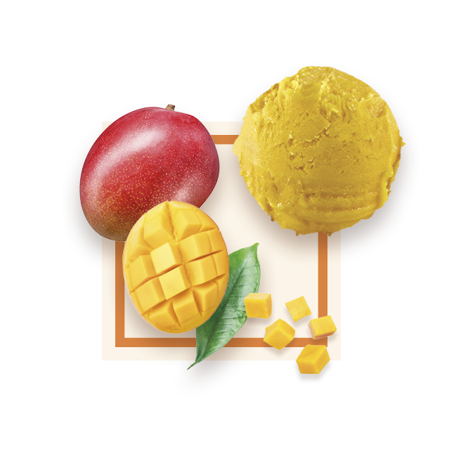 Sorbet mangue bac 2,5L GLACE DES ALPES