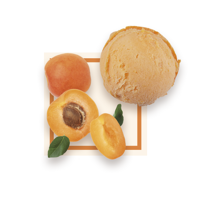 Sorbet abricot bac 2,5L GLACE DES ALPES