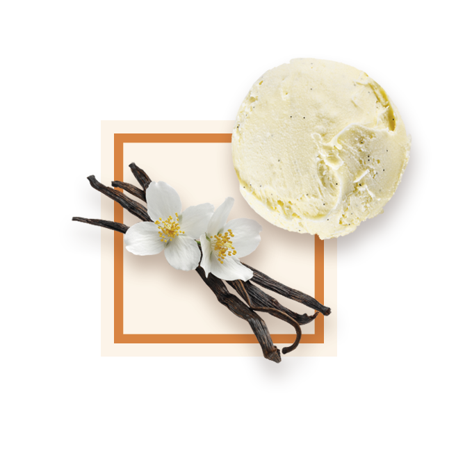 Glace vanille bac 2,5L GLACE DES ALPES