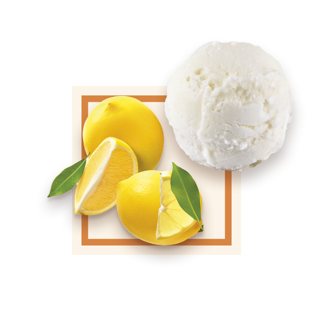 Sorbet citron de Sicile bac 2,5L GLACE DES ALPES