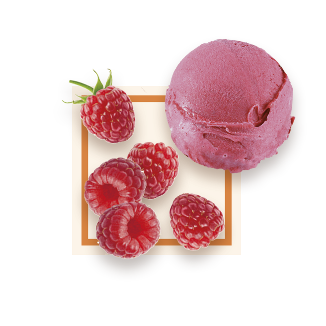 Sorbet framboise bac 2,5L GLACE DES ALPES