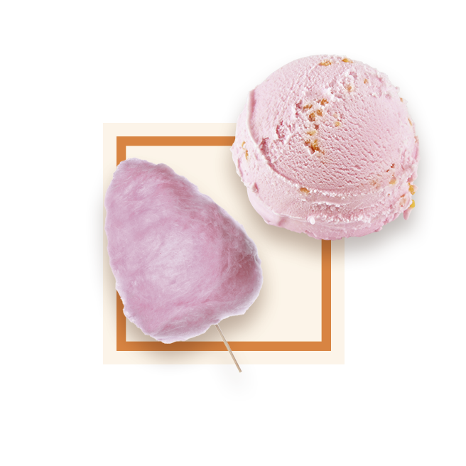 Glace barbe a papa bac 2,5L GLACE DES ALPES