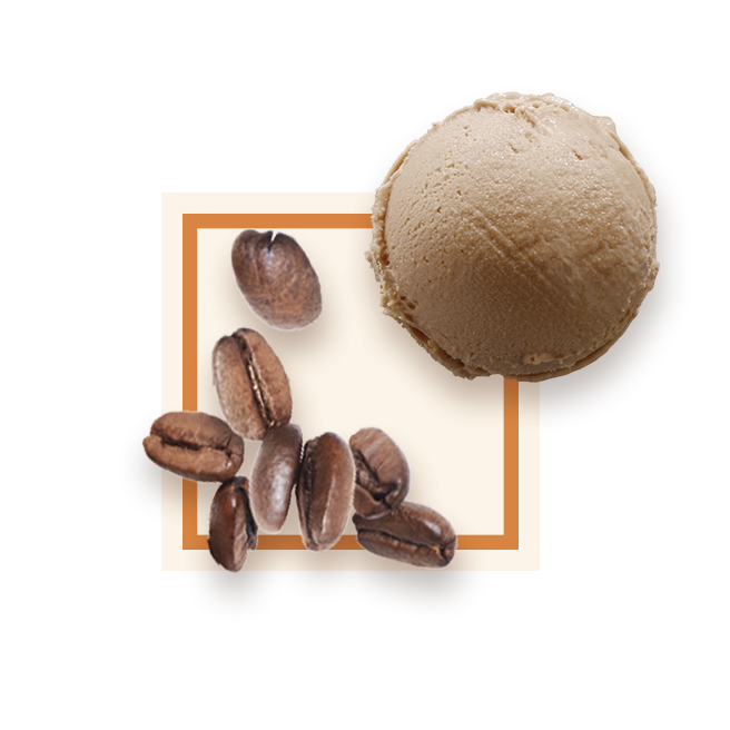 Glace cafe bac 2,5L GLACE DES ALPES