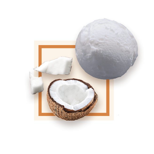 Glace noix de coco bac 2,5L GLACE DES ALPES