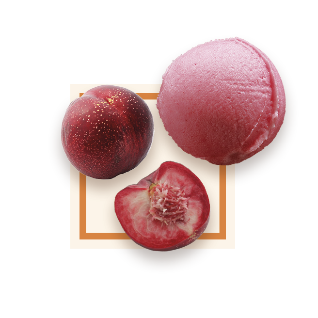 Sorbet peche de vigne bac 2,5L GLACE DES ALPES