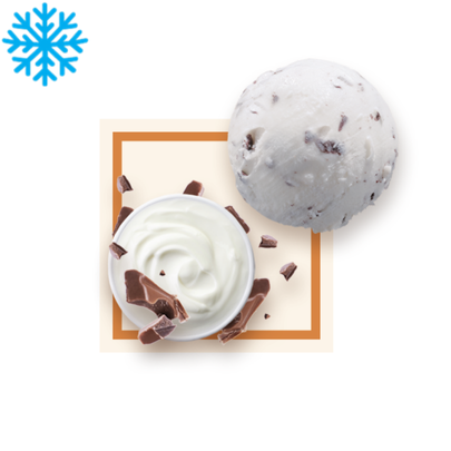 Glace stracciatella bac 2,5L GLACE DES ALPES