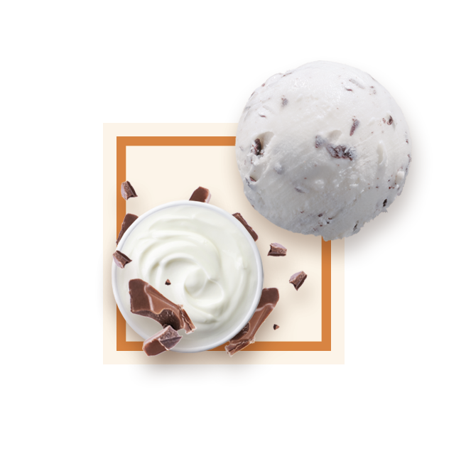 Glace stracciatella bac 2,5L GLACE DES ALPES