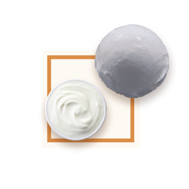 Glace yaourt bac 2,5L GLACE DES ALPES