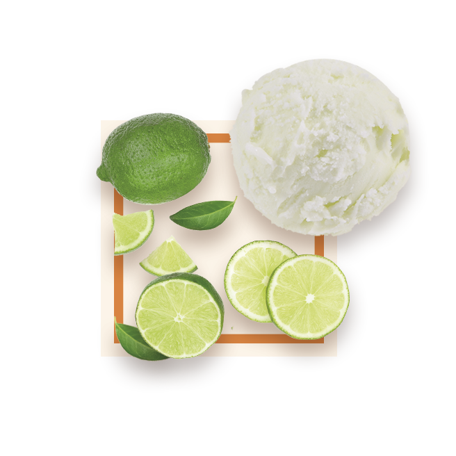 Sorbet citron vert bac 2,5L GLACE DES ALPES