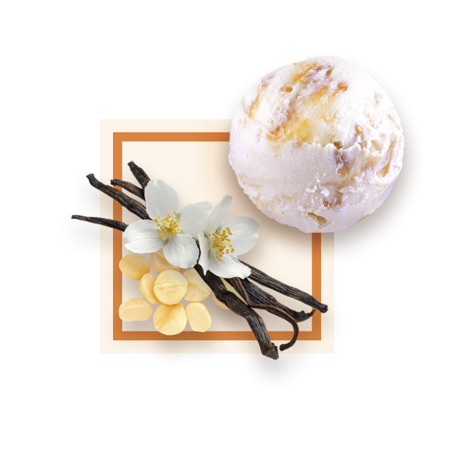 Glace vanille noix de macadamia bac 2,5L GLACE DES ALPES