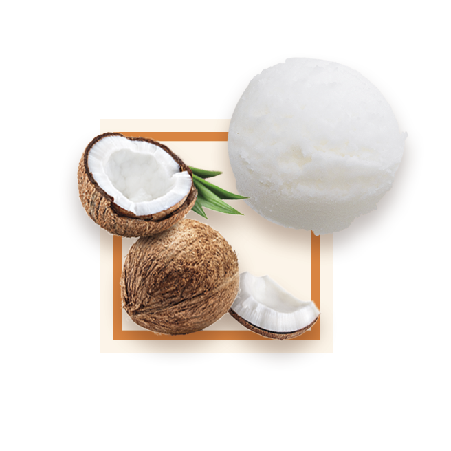 Sorbet noix de coco bac 2,5L GLACE DES ALPES