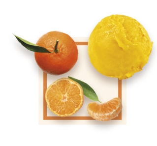 Sorbet artisanal clementine Corse bac 2,5L 