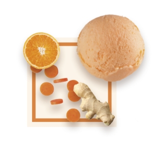 Sorbet artisanal carotte gingembre orange bac 2,5L 