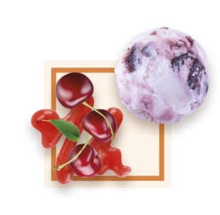 Glace artisanale amarena bac 2,5L