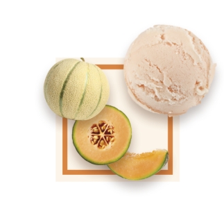 Sorbet artisanal melon bac 2,5L 