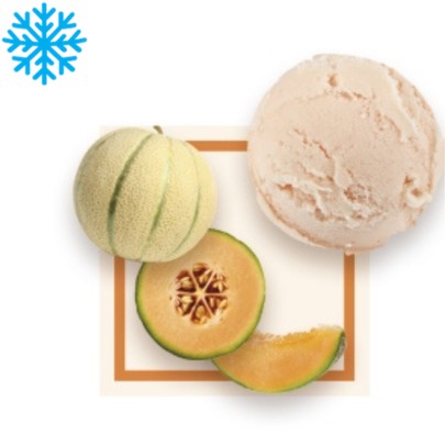 Sorbet melon bac 2,5L GLACE DES ALPES