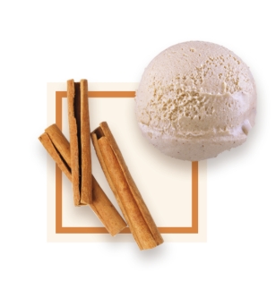 Glace artisanale cannelle bac 2,5L 