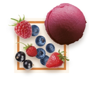 Sorbet artisanal fruits rouges bac 2,5L 