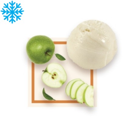 Sorbet artisanal pomme verte bac 2,5L 