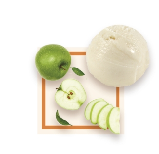 Sorbet artisanal pomme verte bac 2,5L 