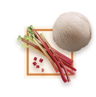 Sorbet artisanal rhubarbe bac 2,5L