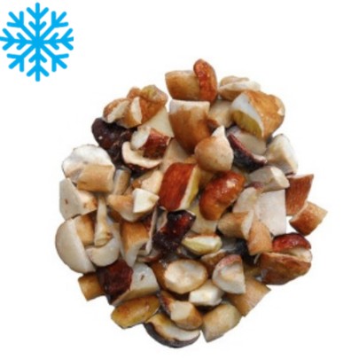 Cepes / bolets morceaux sac 1Kg x5