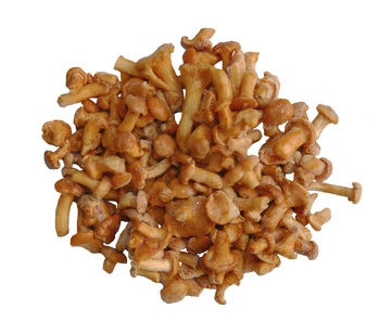 Chanterelles / Girolles sac 1Kg x5