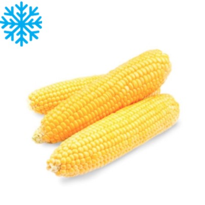 Epis de mais sac 500G x24 GREENS