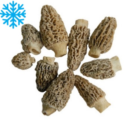 Morilles entieres Europe sac 1Kg x2 