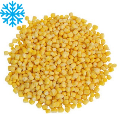 Mais doux grains sac 2,5Kg x2 GREENS