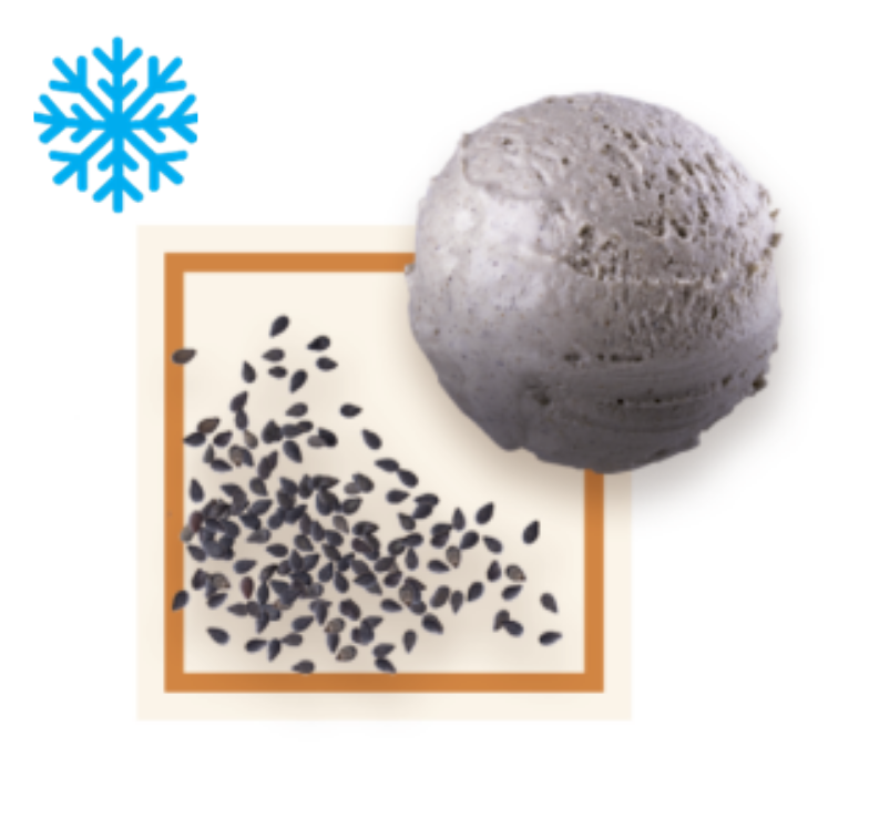 Glace sesame noir bac 2,5L GLACE DES ALPES