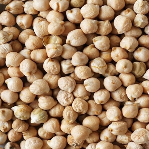 [30478] Pois chiches bio sac 5Kg