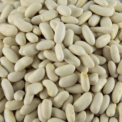[30481] Haricots blancs Mogette de Vendee bio sac 5Kg