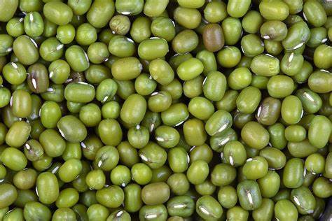 [30484] Haricots mungo bio pqt 500g GRAIN DE FRAIS