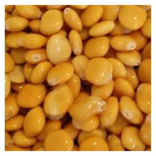 Lupins en saumure sea 2Kg 