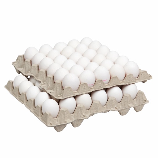 [40124] Oeufs blancs import ponte au sol 63g crt 90pce