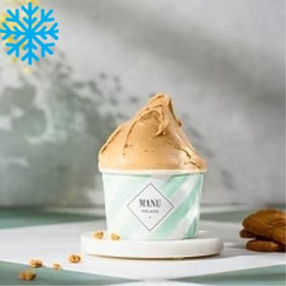 [50062] Glace speculoos bac 2,5L MANU GELATO