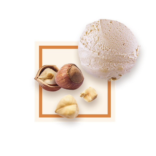 [50066] Glace noisette bac 2,5L GLACE DES ALPES