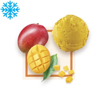 [50068] Sorbet mangue bac 2,5L GLACE DES ALPES