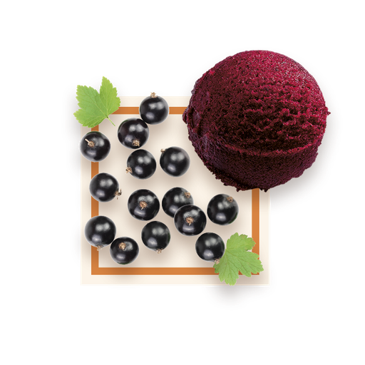 [50069] Sorbet cassis bac 2,5L GLACE DES ALPES