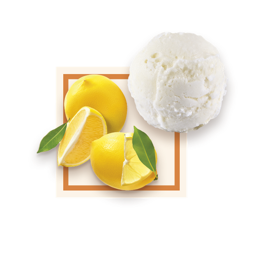 [50075] Sorbet citron de Sicile bac 2,5L GLACE DES ALPES
