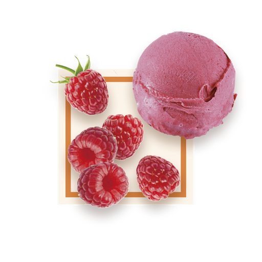 [50077] Sorbet framboise bac 2,5L GLACE DES ALPES