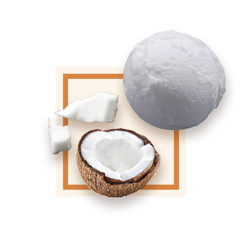 [50081] Glace noix de coco bac 2,5L GLACE DES ALPES