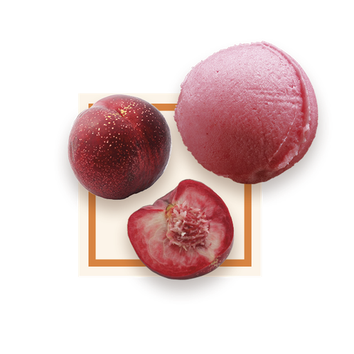 [50082] Sorbet peche de vigne bac 2,5L GLACE DES ALPES