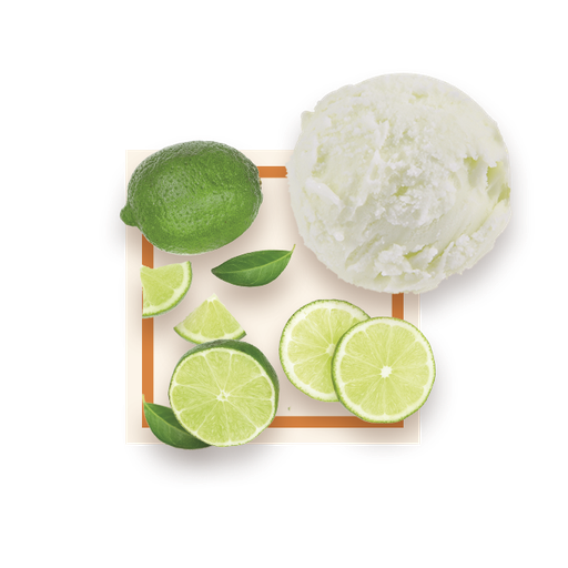 [50085] Sorbet citron vert bac 2,5L GLACE DES ALPES